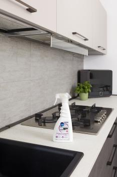 Zertifizierter Desinfektionsspray - 500 ml